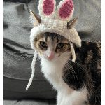 Bunny Hat for Cats Free Crochet Pattern