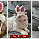 Bunny Hat for Cats Free Crochet Pattern