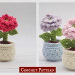 Dahlia in a Flower Pot Crochet Pattern