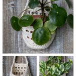 Plant Wall Hanger Basket Free Crochet Pattern and Video Tutorial