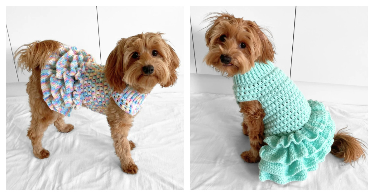 Tutu Dog Sweater Crochet Pattern